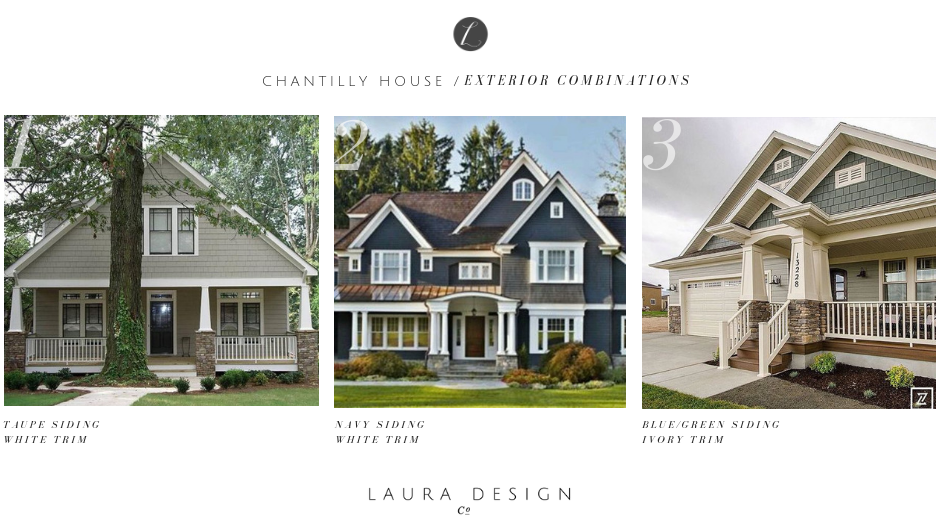 Exterior Elevation Design Schemes- Laura Design Company, Chicago Interior Design Firm
